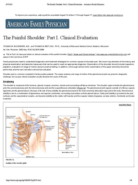 The Painful Shoulder: Part I. Clinical Evaluation 